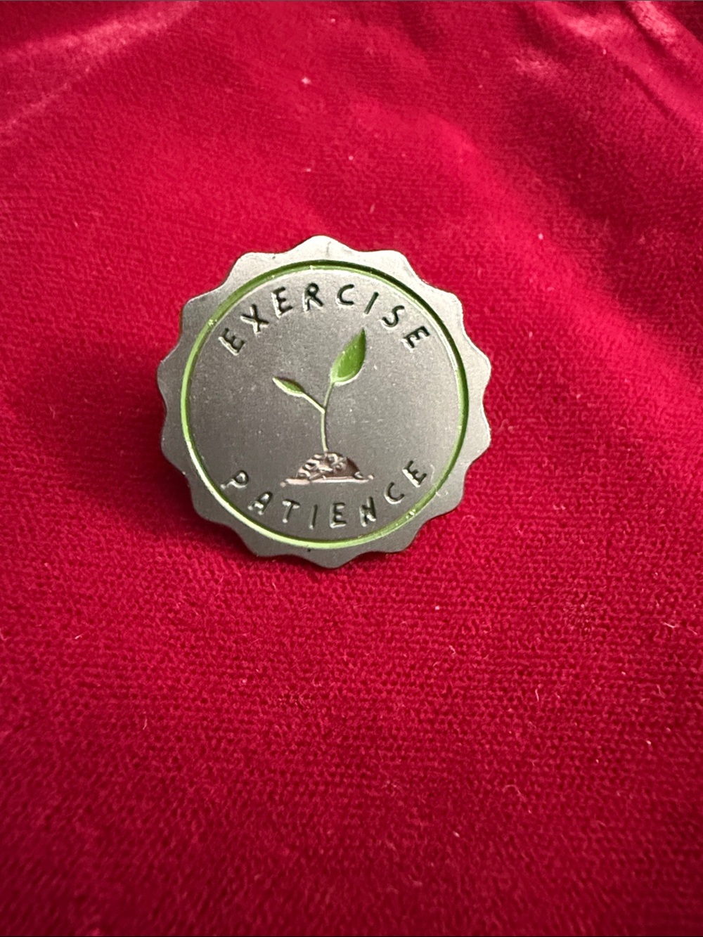 Exercise Patience Silver Motivational Wearable Pin - Green Accent